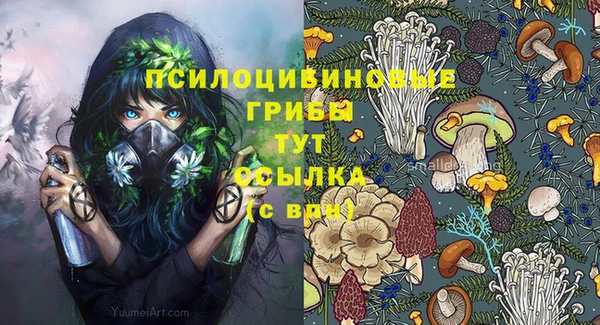 соль курить ск Алексин