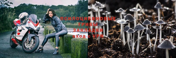 ПСИЛОЦИБИНОВЫЕ ГРИБЫ Алексеевка