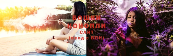 ПСИЛОЦИБИНОВЫЕ ГРИБЫ Алексеевка