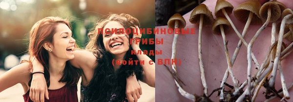 стафф Алзамай