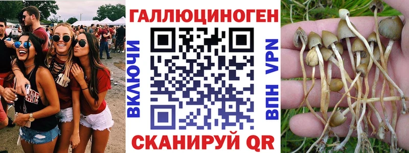 ОМГ ОМГ как войти Карпинск Галлюциногенные грибы прущие грибы дарнет шоп