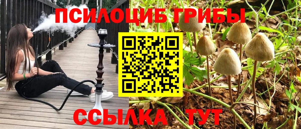 Карпинск  Галлюциногенные грибы Magic Shrooms  Вход с VPN 